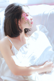 动物性行为马